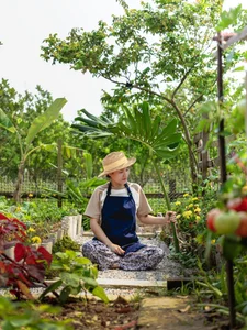 Leaving the City for the Garden: A Personal Journey to Slow Living and Clean Food - image 10
