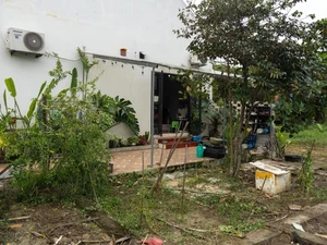 Leaving the City for the Garden: A Personal Journey to Slow Living and Clean Food - image 3