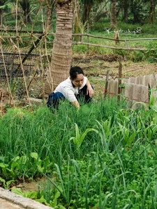 Leaving the City for the Garden: A Personal Journey to Slow Living and Clean Food - image 9