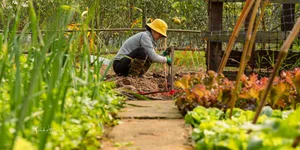 Leaving the City for the Garden: A Personal Journey to Slow Living and Clean Food - image 4