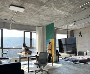 Unfinished Concrete Aesthetic: How a 90s-Born Homeowner Went Viral with Minimalist Living - image 5