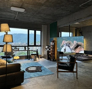 Unfinished Concrete Aesthetic: How a 90s-Born Homeowner Went Viral with Minimalist Living - image 2