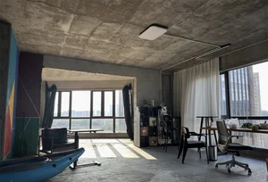 Unfinished Concrete Aesthetic: How a 90s-Born Homeowner Went Viral with Minimalist Living - image 4