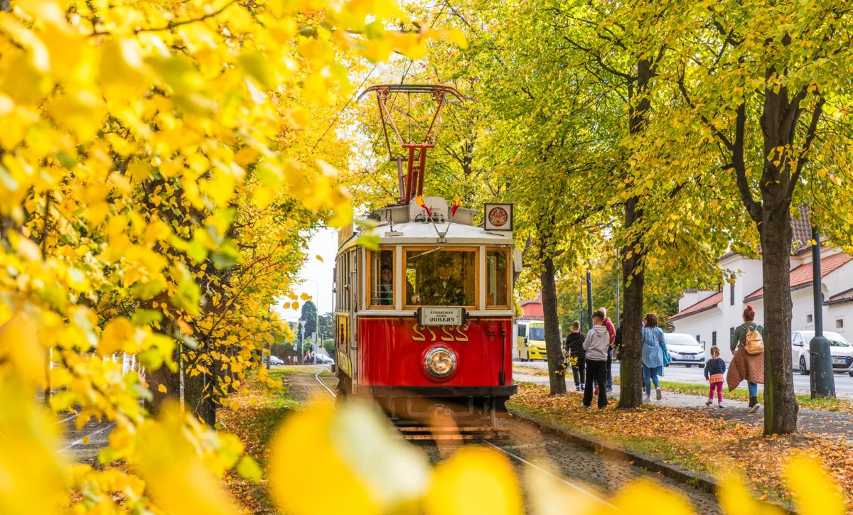 Prague in Early Autumn: Capturing the Golden Hues of the Czech Capital