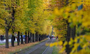 Prague in Early Autumn: Capturing the Golden Hues of the Czech Capital - image 5
