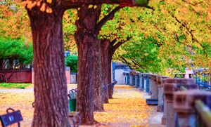 Prague in Early Autumn: Capturing the Golden Hues of the Czech Capital - image 3