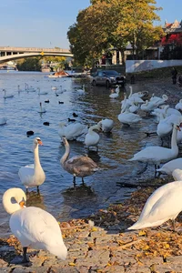 Prague in Early Autumn: Capturing the Golden Hues of the Czech Capital - image 6