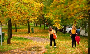 Prague in Early Autumn: Capturing the Golden Hues of the Czech Capital - image 8