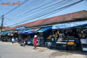 Discover the Timeless Charm of Hue’s Historic Old Quarters: A Journey Through Vietnam’s Ancient Capital - image 9