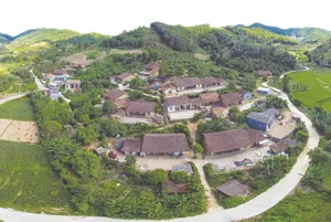 Exploring the 17 Unique Rammed Earth Houses of Bac Hoa Ancient Village in Vietnam - image 4
