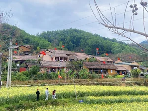 Exploring the 17 Unique Rammed Earth Houses of Bac Hoa Ancient Village in Vietnam - image 6