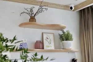 Huynh Anh and Bach Lan Phuong Dreamy Rooftop Garden Villa - image 0