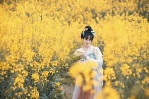 YiTuYu Art Language Vol.6666 - Miao Su Su Artistic Series - image 28