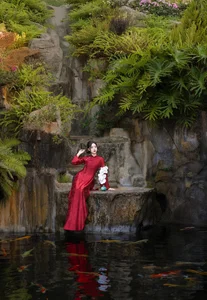 Timeless Elegance in Crimson and Gold - image 2