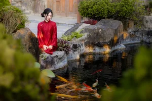 Timeless Elegance in Crimson and Gold - image 8