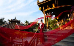 Timeless Elegance in Crimson and Gold - image 5