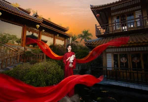 Timeless Elegance in Crimson and Gold - image 6