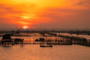 A Photographer's Guide to the Magical Dawn at Tam Giang Lagoon - image 7