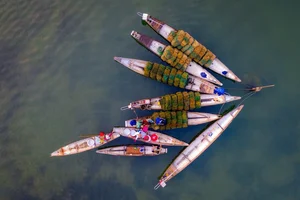 A Photographer's Guide to the Magical Dawn at Tam Giang Lagoon - image 5