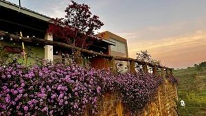 Inside a Stunning 2,000sqm Garden Sanctuary: A Singer’s Peaceful Retreat Far from the City - image 0