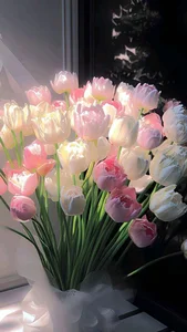 Elegant Tulip Wallpapers: 574+ Stunning Floral Backgrounds for Your Phone and Desktop - image 4