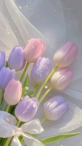 Elegant Tulip Wallpapers: 574+ Stunning Floral Backgrounds for Your Phone and Desktop - image 1