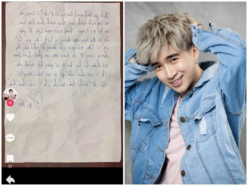 Vietnamese Celebrities and the Consequences of Legal Scandals
