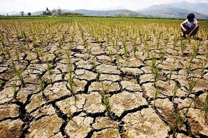 Cảnh báo năm 2024 có thể phá kỷ lục nắng nóng lịch sử của năm 2023 - image 3