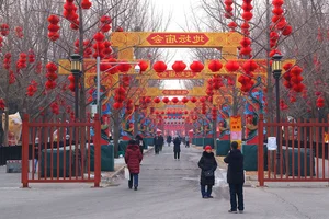 China Celebrates Year of the Dragon 2024: Massive Lantern Festivals and Traditions - image 0