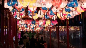 China Celebrates Year of the Dragon 2024: Massive Lantern Festivals and Traditions - image 8