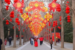 China Celebrates Year of the Dragon 2024: Massive Lantern Festivals and Traditions - image 7
