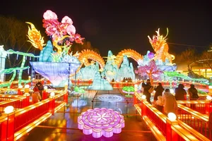 China Celebrates Year of the Dragon 2024: Massive Lantern Festivals and Traditions - image 5