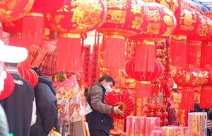 China Celebrates Year of the Dragon 2024: Massive Lantern Festivals and Traditions - image 12