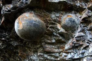 The Mysterious Egg-Laying Cliff of Chan Da Ya in China - image 4