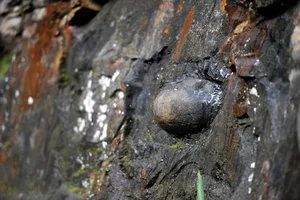 The Mysterious Egg-Laying Cliff of Chan Da Ya in China - image 2
