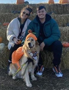 A Heartbreaking and Touching Story of a Dying Dog's Final Days - image 10