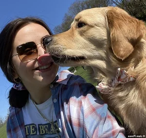 A Heartbreaking and Touching Story of a Dying Dog's Final Days - image 11