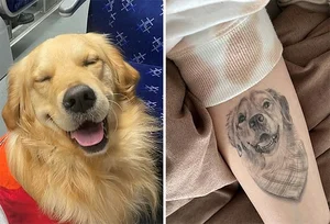 A Heartbreaking and Touching Story of a Dying Dog's Final Days - image 9
