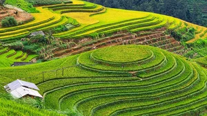 10 Best Check-in Spots in Mu Cang Chai Rice Season - image 6