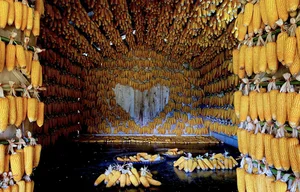 10 Best Check-in Spots in Mu Cang Chai Rice Season - image 8