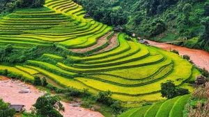 10 Best Check-in Spots in Mu Cang Chai Rice Season - image 2