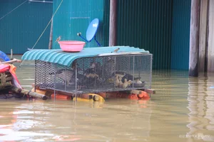 World's Best Tourism Village Flooded in Recent Storm - image 0