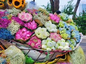 Discover the Flavors of Hanoi: Must-Try Autumn Specialties for Travelers - image 1