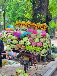 Discover the Flavors of Hanoi: Must-Try Autumn Specialties for Travelers - image 5