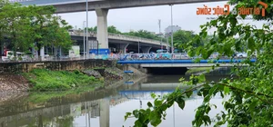 Hanoi's To Lich River Water Levels Rise and Change Color - image 3