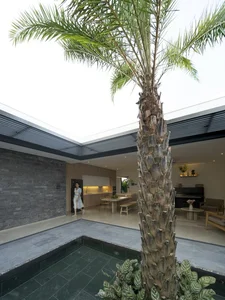 US Architecture Media Praises Unique Three-Garden House in Phan Thiet - image 5