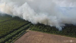 Firefighters Brave Canals and Dense Forests to Battle Ca Mau Forest Fire - image 2