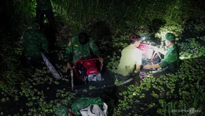 Firefighters Brave Canals and Dense Forests to Battle Ca Mau Forest Fire - image 5
