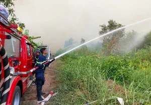 Firefighters Brave Canals and Dense Forests to Battle Ca Mau Forest Fire - image 0