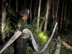 Firefighters Brave Canals and Dense Forests to Battle Ca Mau Forest Fire - image 9